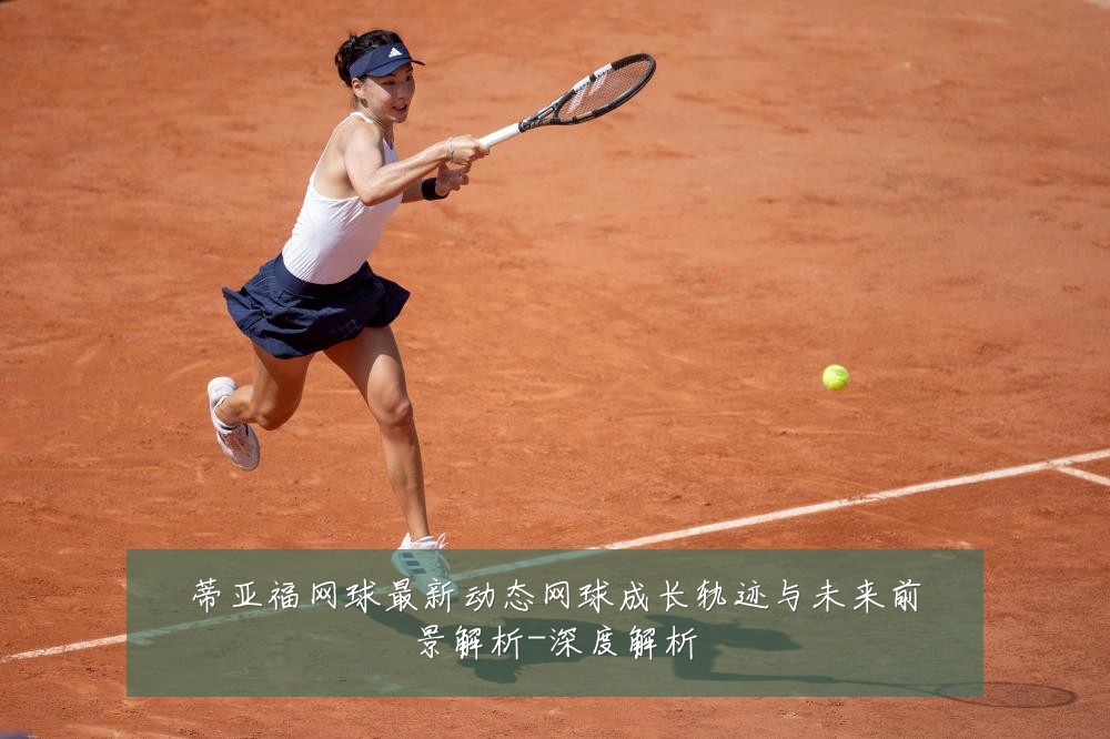 蒂亚福网球最新动态网球成长轨迹与未来前景解析-深度解析